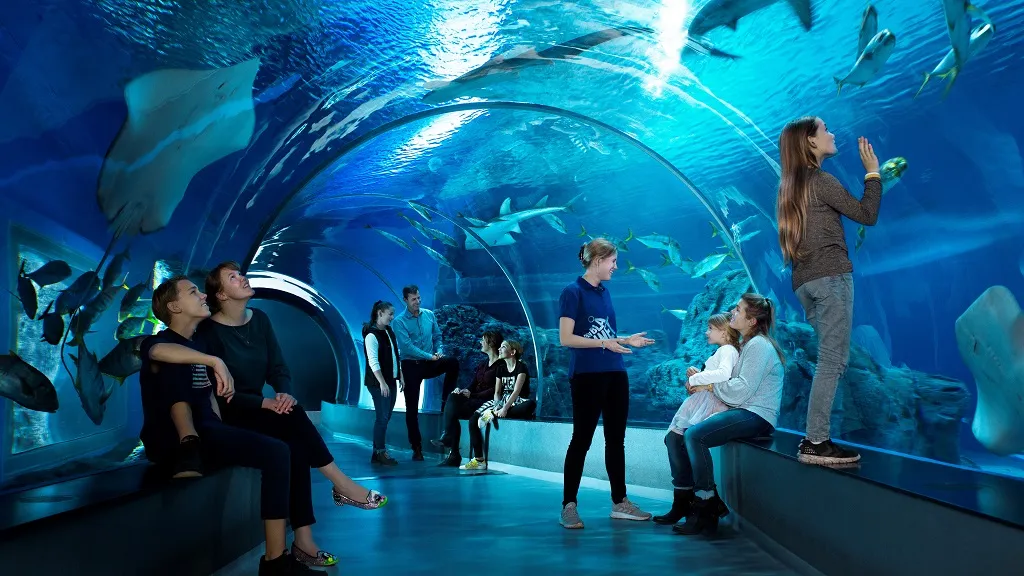 See National Aquarium in Denmark