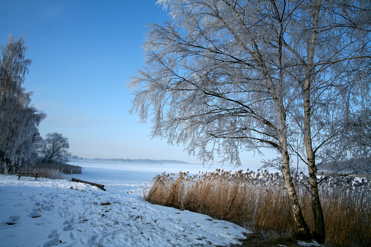 Denmark winter