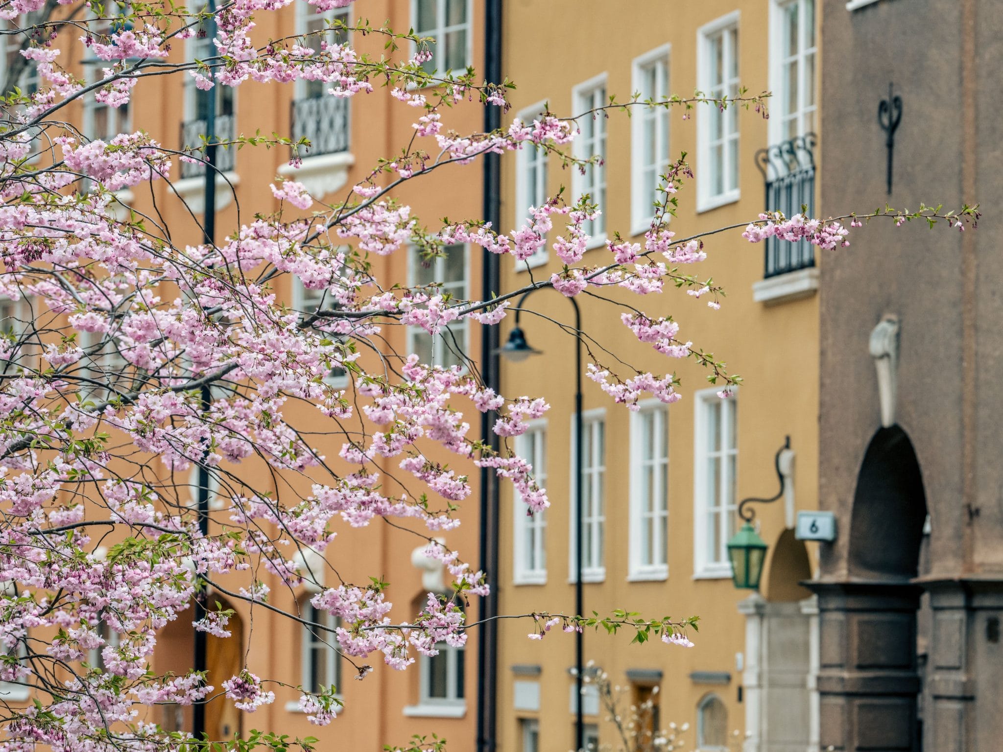 Denmark Weather: A Complete Guide to the Danish Weather