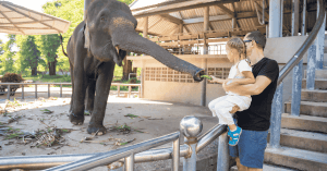 outdoor things to do in Copenhagen Zoo