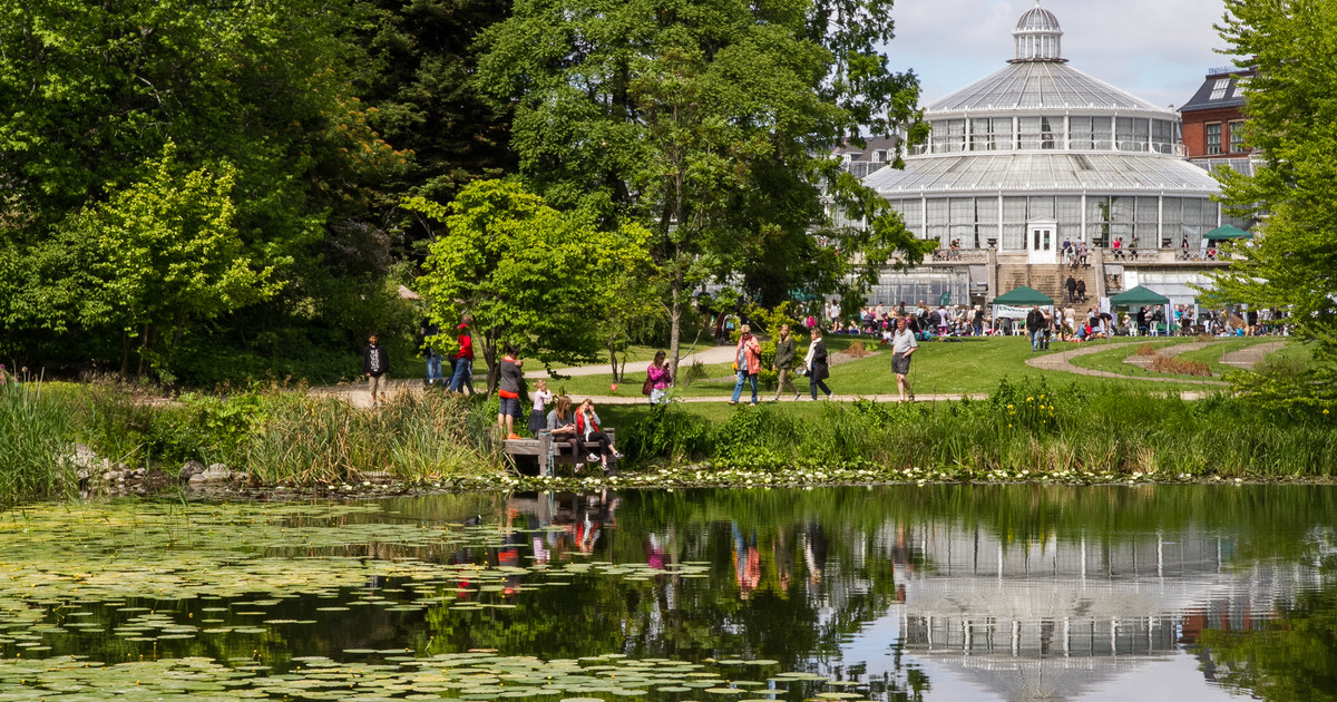 Botanical garden lake