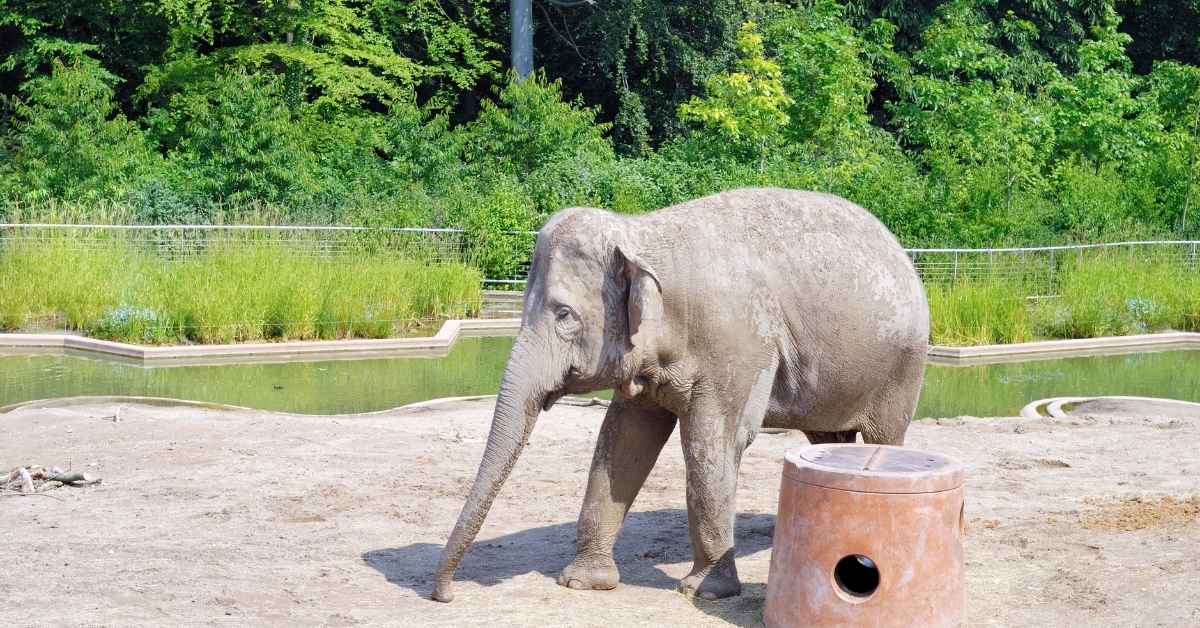 Copenhagen Zoos in Denmark