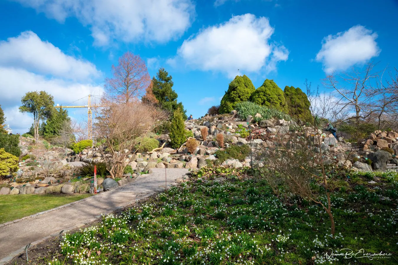 Summer in the botanical garden