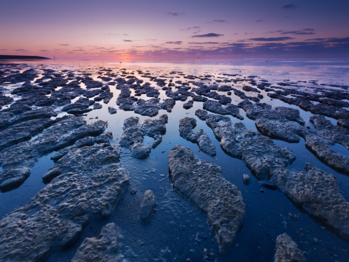 Image of The Wadden Sea in Denmark - a UNESO part of nature in Denmark