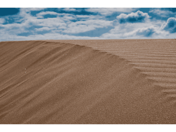 Sand Dunes of Råbjerg Mile