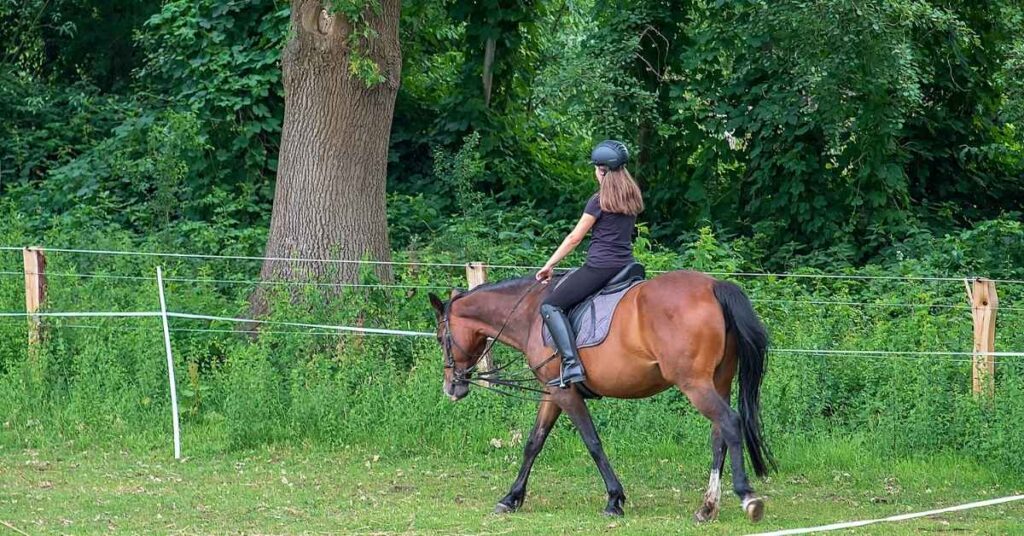 Schooling in Copenhagen suburbs