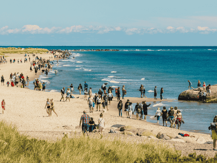 Image of explore Grenen - a unique part of nature in Denmark