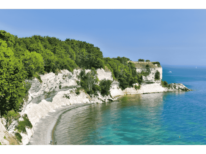 Stevns Klint Chalk Cliffs