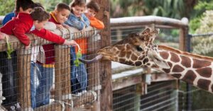 Zoos in Denmark