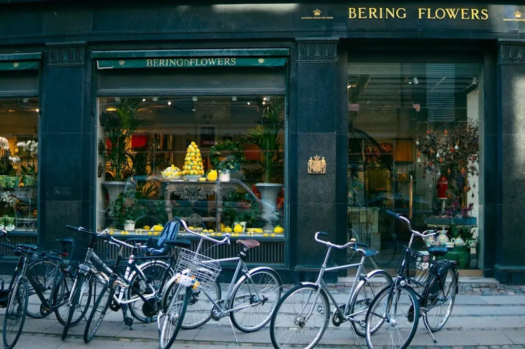 The Danish Dream