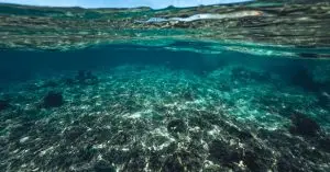 Greenlands Undersea Cables at Risk Amid Security Threats
