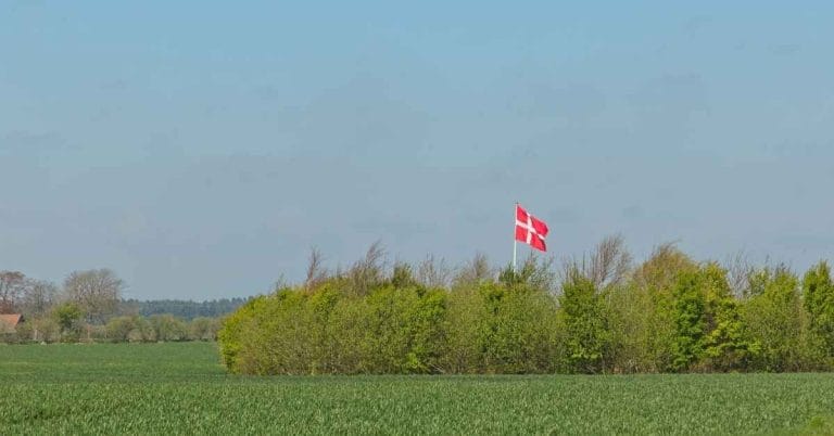 What Is the Flag of Denmark? All About the Dannebrog