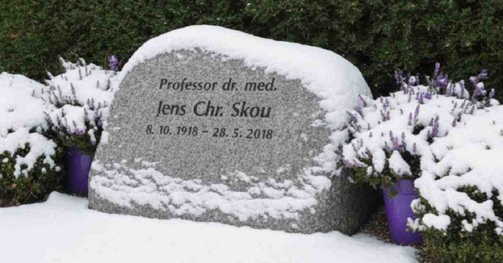 Jens Christian Skou: Danish Biochemist and Nobel Laureate