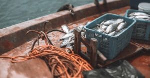 Fisheries and maritime museum