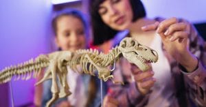 The Museum Obscurum