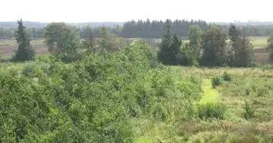 Europe’s Wetland Map Reveals Climate Restoration Priorities