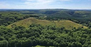 Self-Declared King Evicted From Scottish Forest