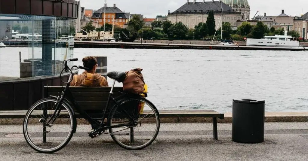 The Danish Dream