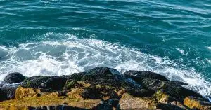 98% of Danish Waters Fail Chemical Safety Standards