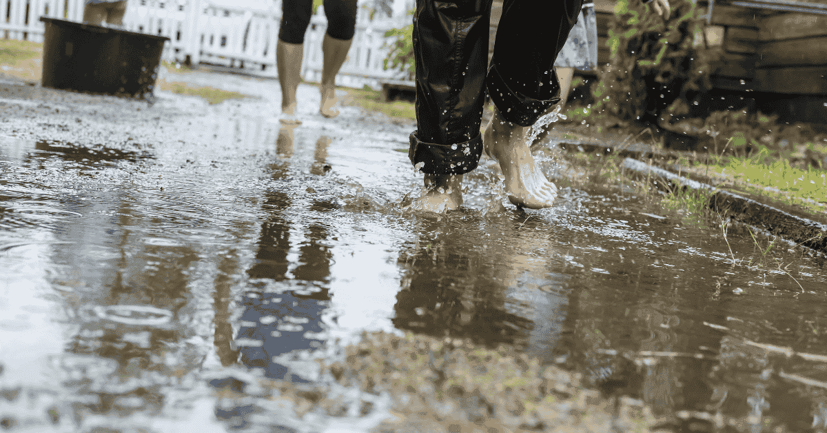 Most Danes Ignore This Simple Trick for Flood Prevention in Denmark Most Danes Ignore This Simple Trick for Flood Prevention in Denmark