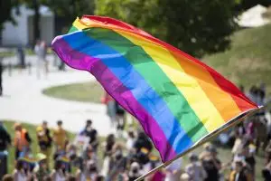 LGBTQ+ families Denmark