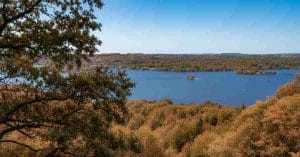 Disabled Woman Drowns