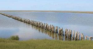 Danish Court Ruling Squeezes Struggling Fish Farms