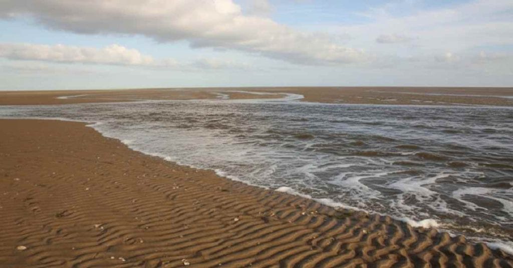 Vadehavet: Sanctuary for Migratory Birds and Marine Life