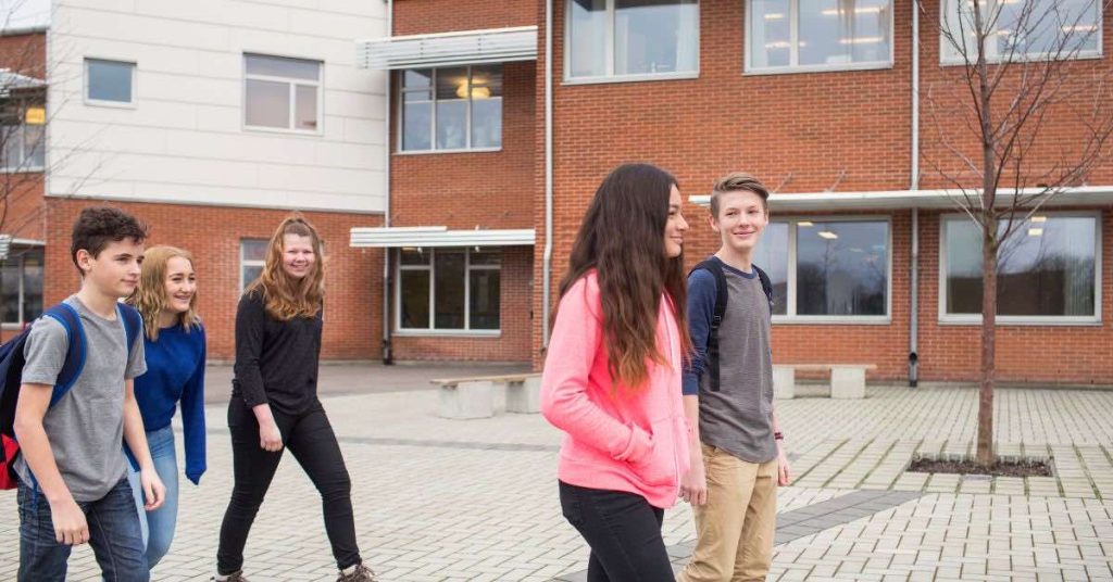 Complete Guide to Higher Education in Denmark for Foreigners Higher education in Denmark