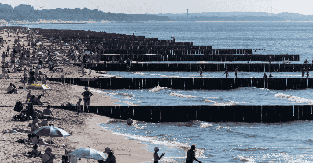 The Danish Dream