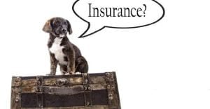 best dog insurance in denmark