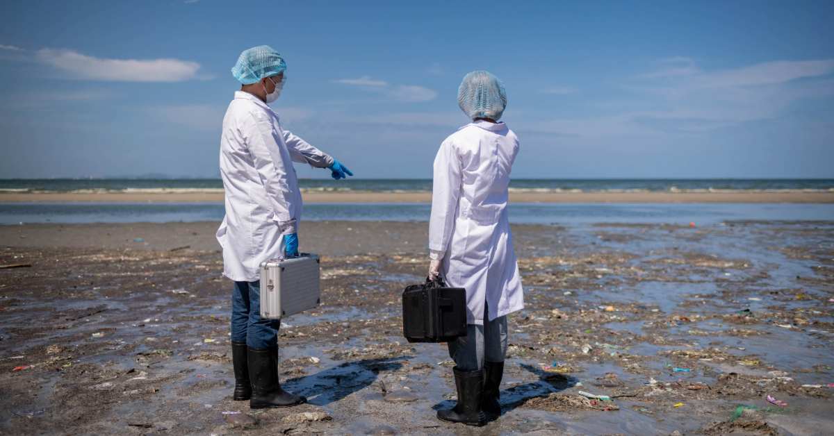 Coastal Projects to Strengthen Danish Marine Life With New Funding Coastal Projects to Strengthen Danish Marine Life With New Funding