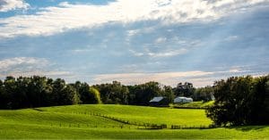 Denmark Converts Farmland
