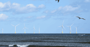 Trump Halts Danish Offshore Wind Projects Again