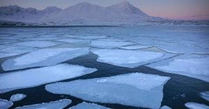 Could Trump Accidentally Save the Climate Movement?