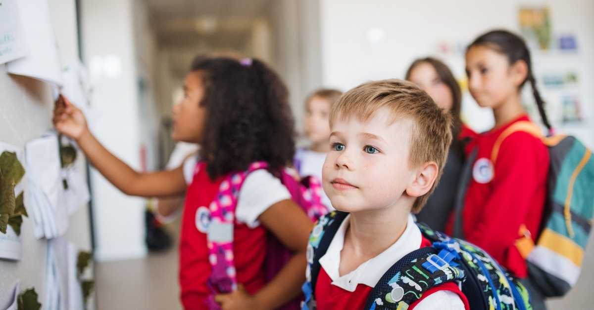 Small Danish Schools Match Cities in Academic Success