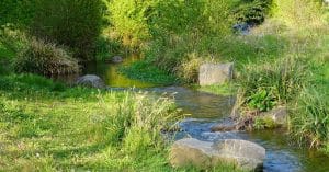 Danish Stream