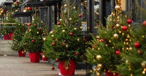 Christmas Trees Unite a Diverse Copenhagen Street