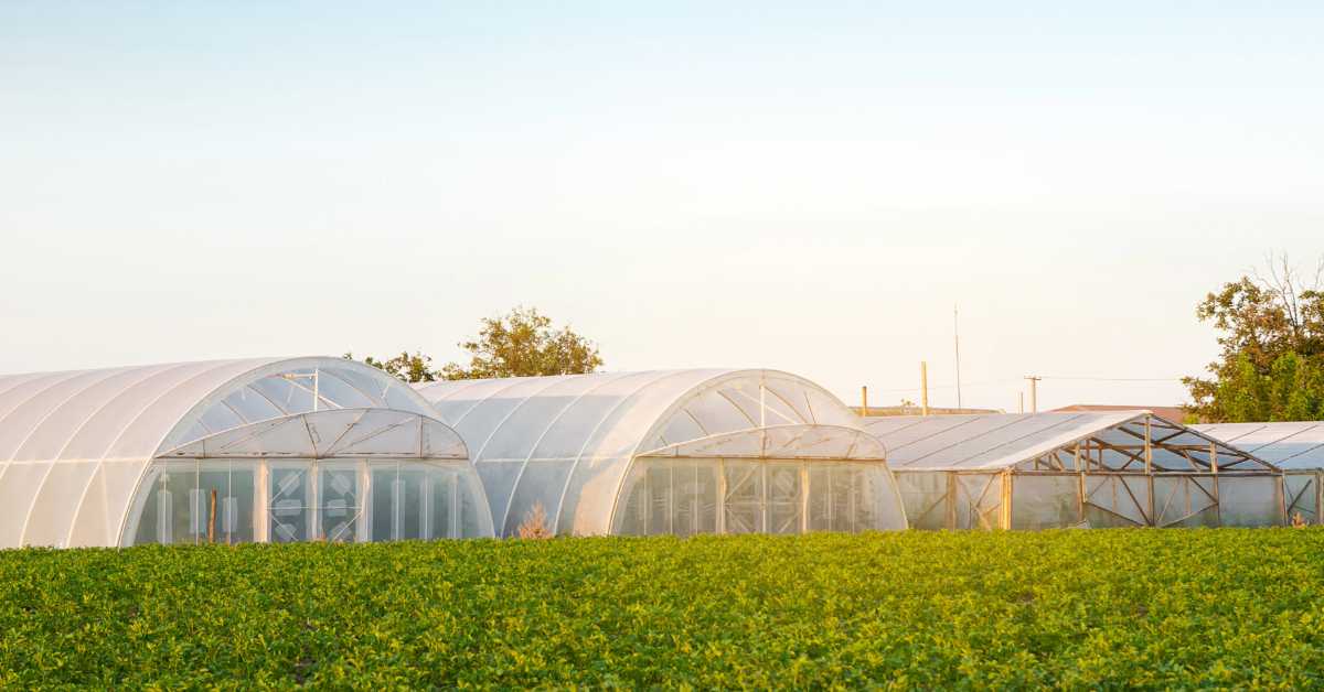 Danish Village Fights Giant Data Center Plan Danish Village Fights Giant Data Center Plan