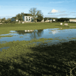 Lolland Faces Bankruptcy: 531 Million Kroner Deficit