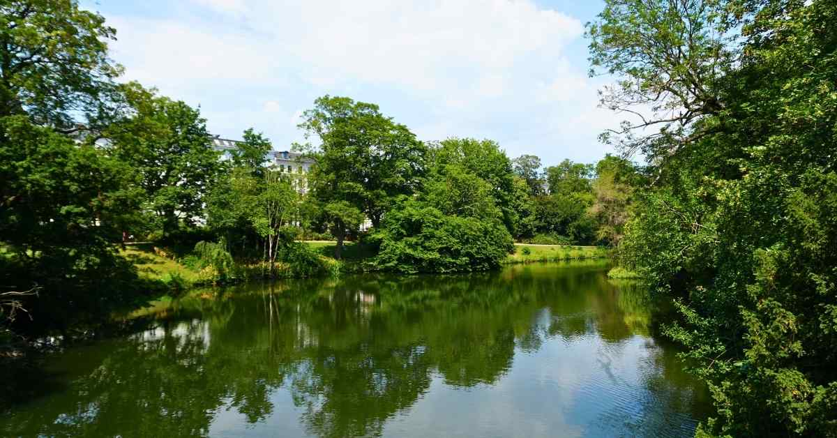 Denmark’s Nature Push: Access Over Biodiversity Alone Denmark’s Nature Push: Access Over Biodiversity Alone