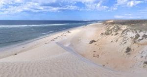 ringkøbing skjern beach dunes