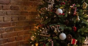 Christmas tree Christmas Festive Festive Season Xmas Holiday Advent