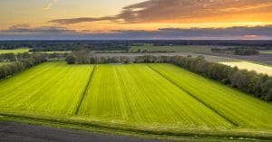 National Rewilding Project