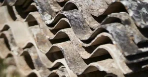 Hidden Camera Exposes Asbestos Removal Company Scandal