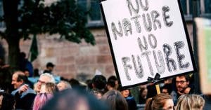 NATO Summit Sparks Peace Protests in Øresund