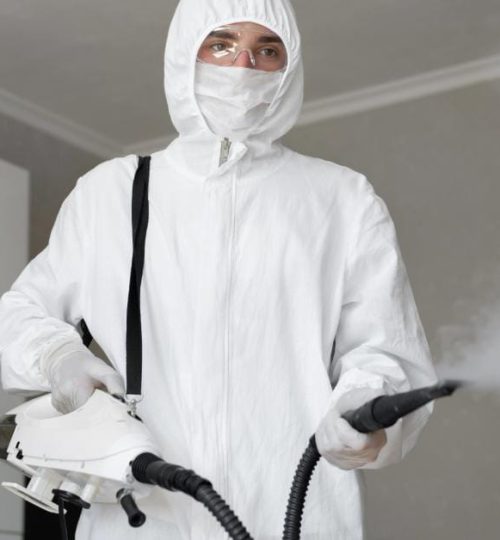 Bedbugs in Denmark