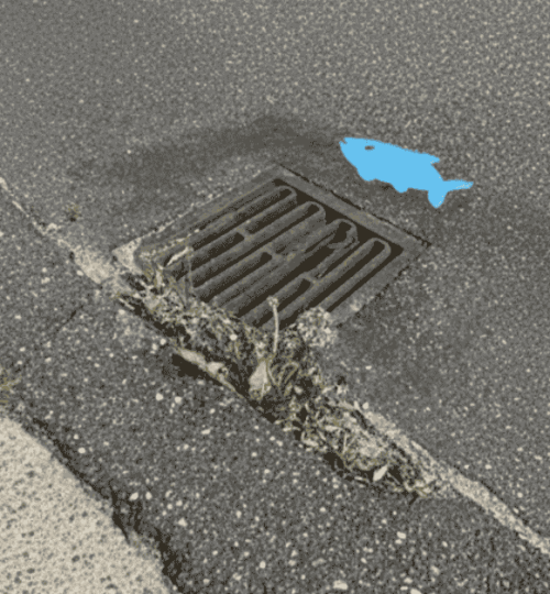 Blue Fish Symbol In Denmark Warns of Hidden Water Pollution