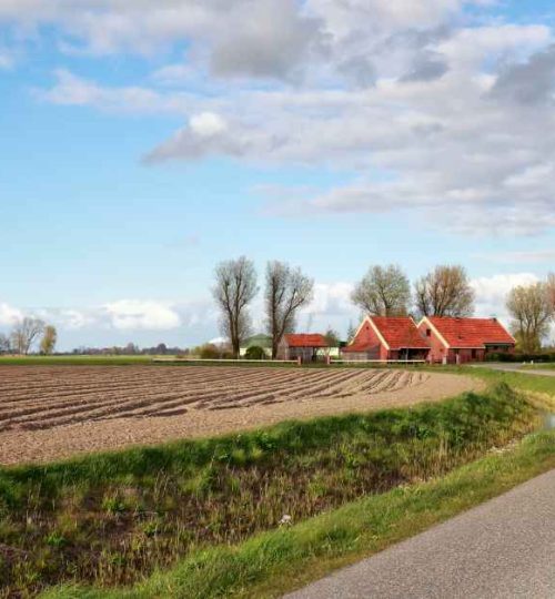 Danish Farmers