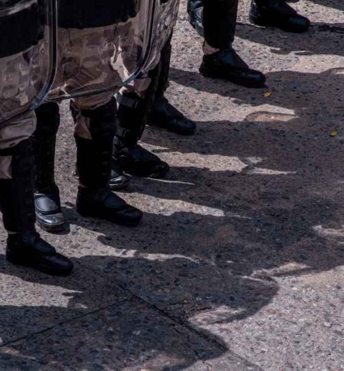 danish riot police